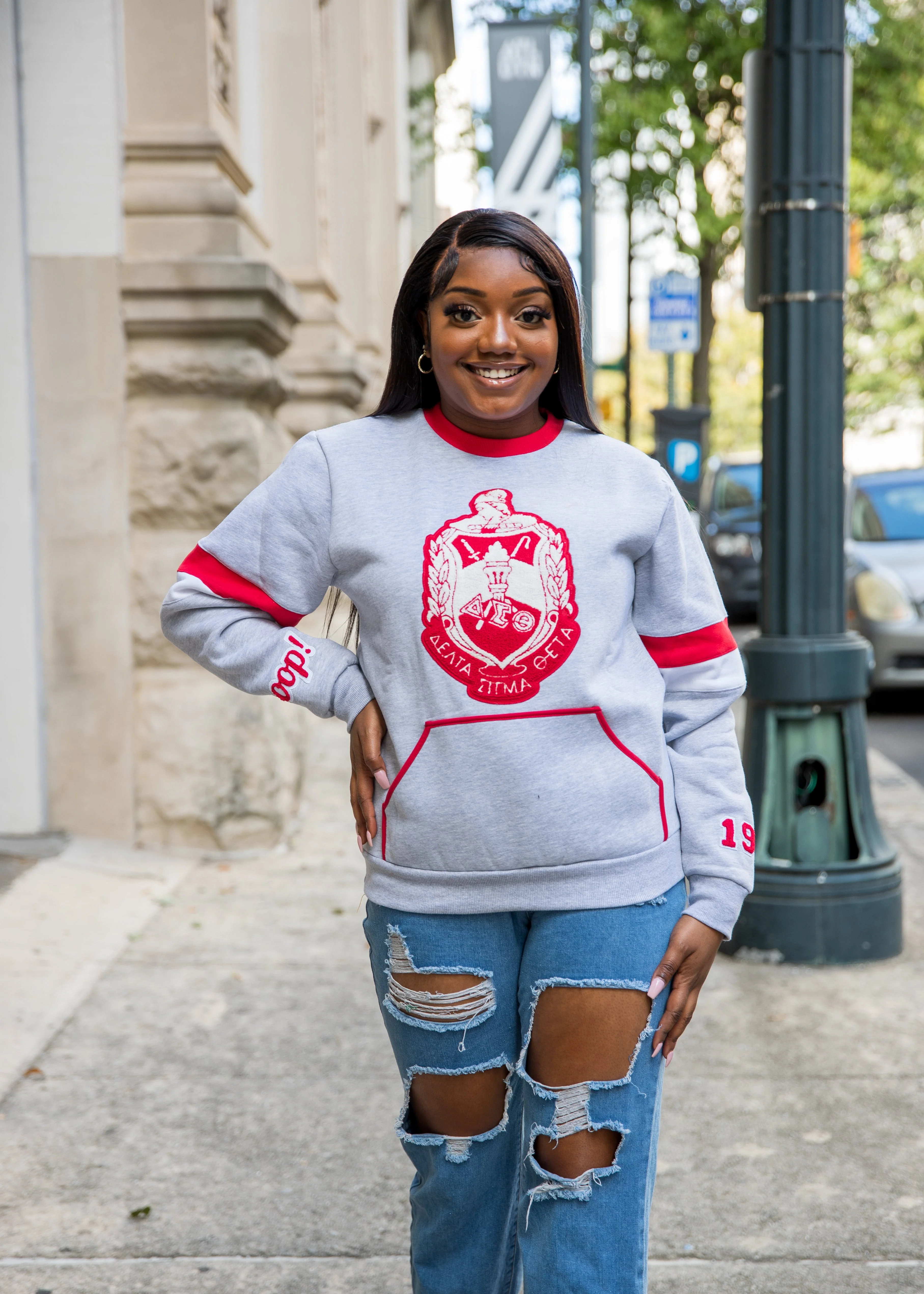 ΔΣΘ GREY Chenille  SHIELD Crewneck - Image 5