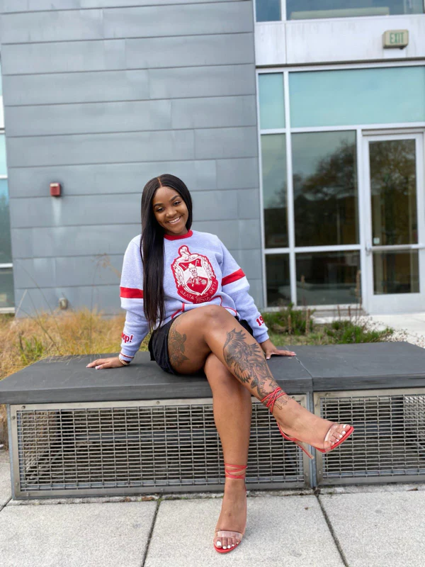 ΔΣΘ GREY Chenille  SHIELD Crewneck - Image 6